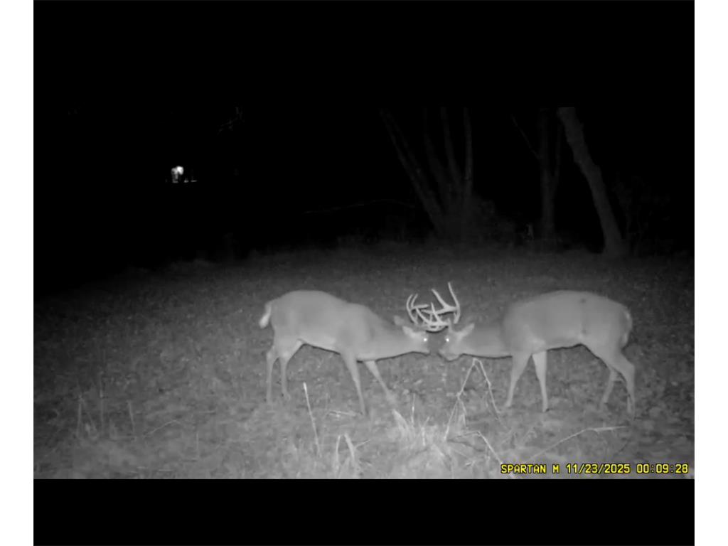 S1689 County Road Xx Alma WI 54610 7084434 image36
