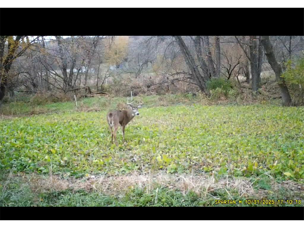 S1689 County Road Xx Alma WI 54610 7084434 image37