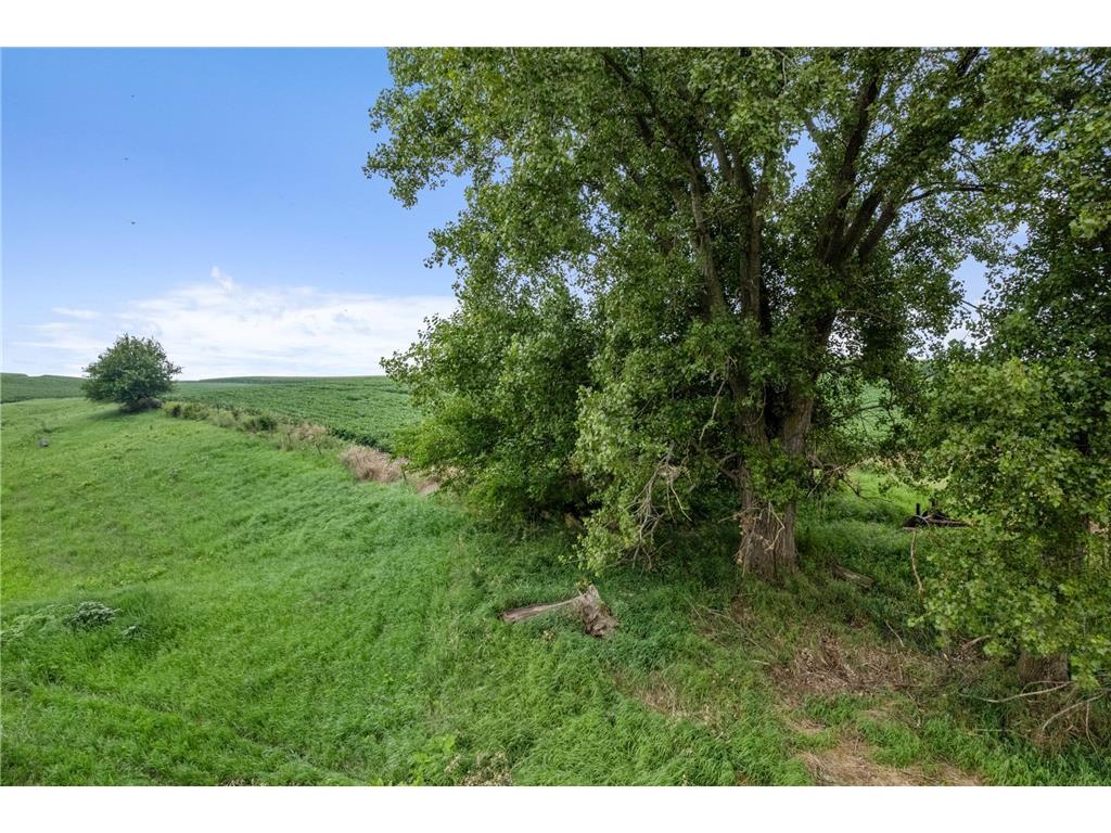 S3093 Baertsch Valley Road Cross Twp WI 54629 6750727 image31