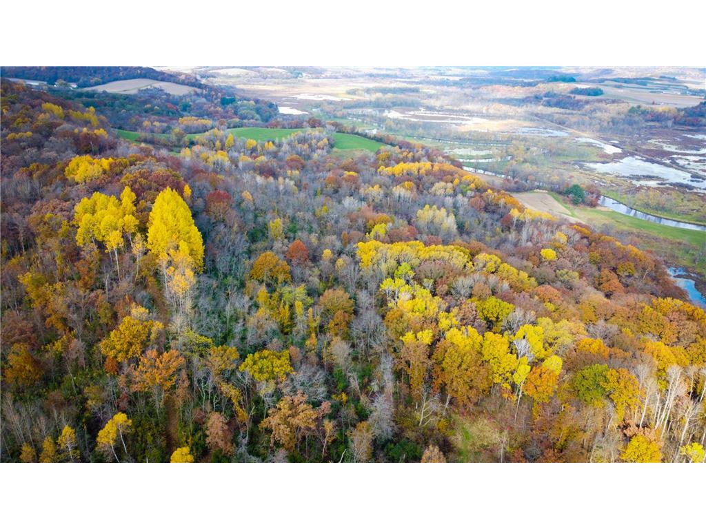 S3399 County Road P Buffalo City WI 54629 - Trempealeau 6816002 image20