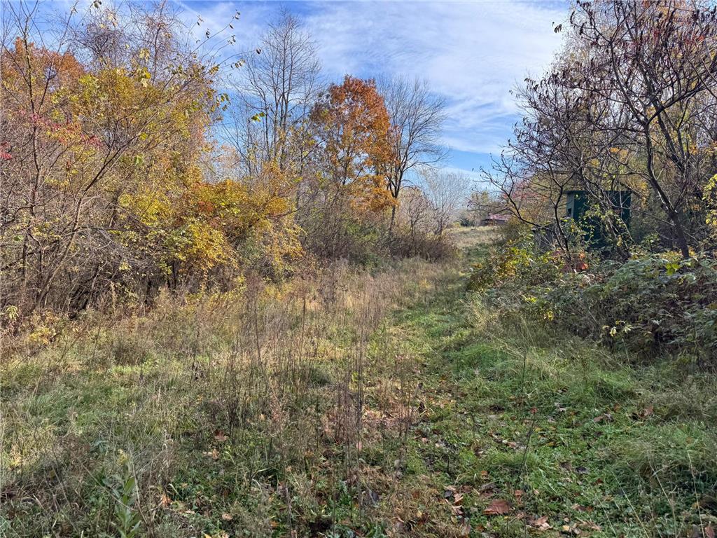 S3399 County Road P Buffalo City WI 54629 - Trempealeau 6816002 image27