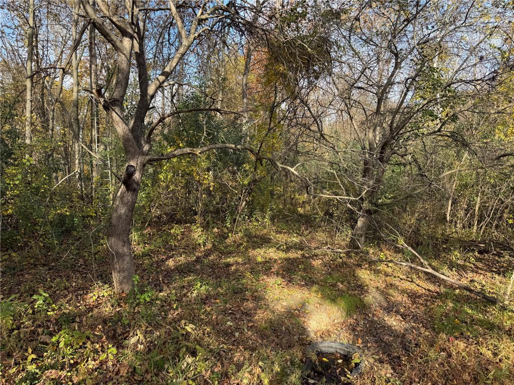 S3399 County Road P Buffalo City WI 54629 - Trempealeau 6816002 image28