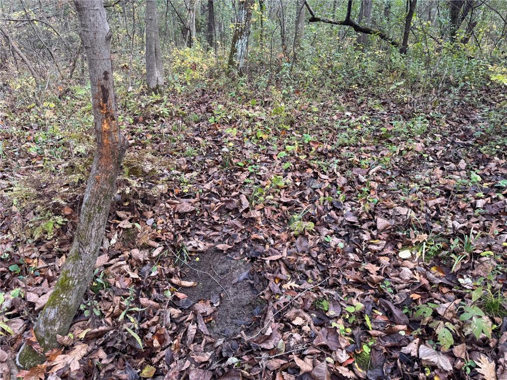 S3399 County Road P Buffalo City WI 54629 - Trempealeau 6816002 image29