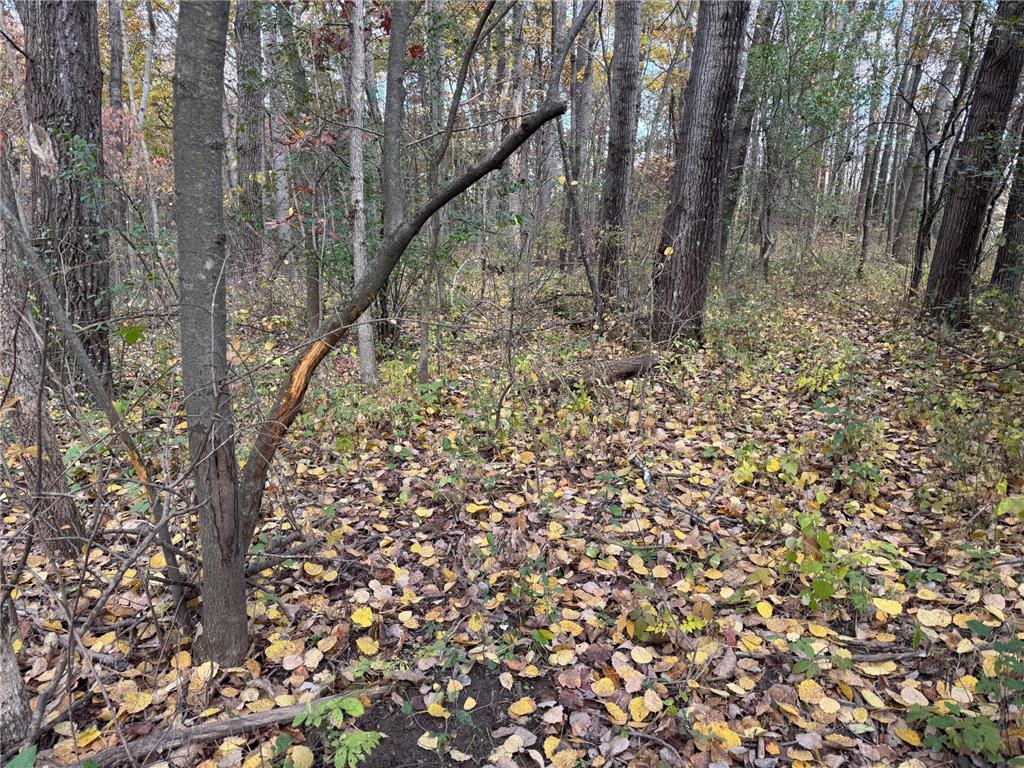 S3399 County Road P Buffalo City WI 54629 - Trempealeau 6816002 image30