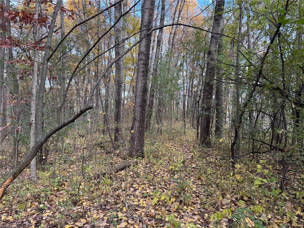 S3399 County Road P Buffalo City WI 54629 - Trempealeau 6816002 image31