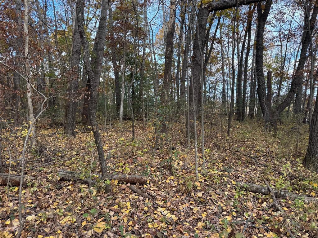 S3399 County Road P Buffalo City WI 54629 - Trempealeau 6816002 image32