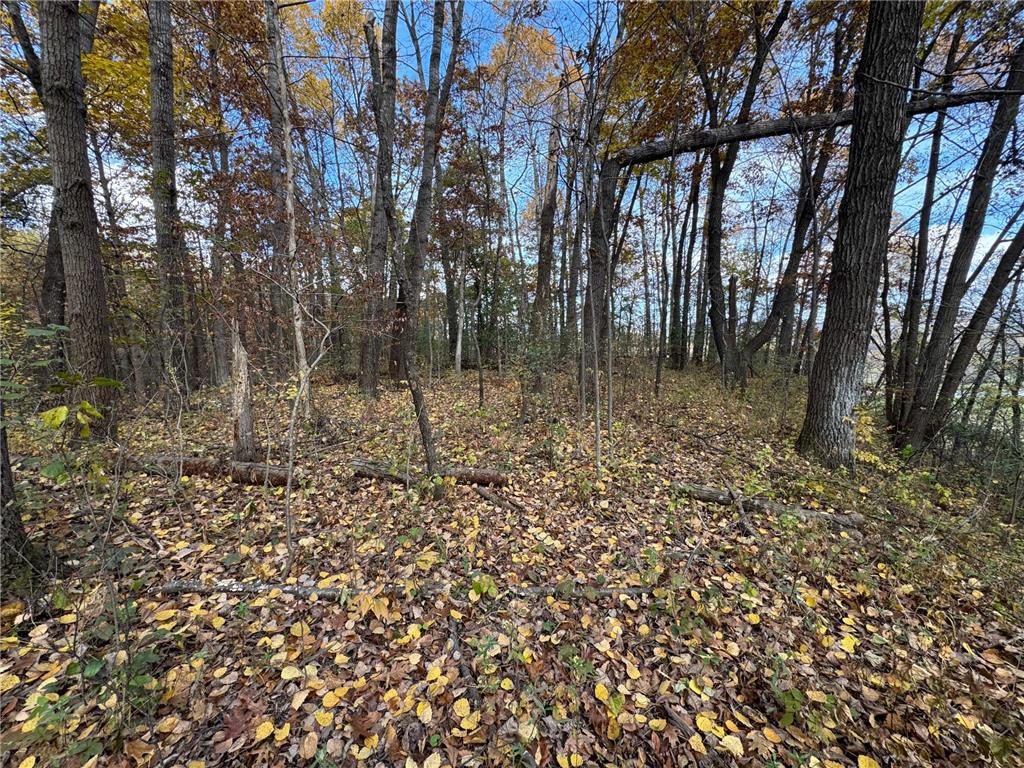 S3399 County Road P Buffalo City WI 54629 - Trempealeau 6816002 image33