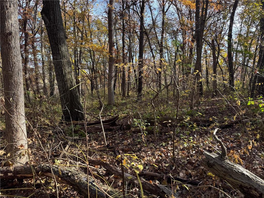 S3399 County Road P Buffalo City WI 54629 - Trempealeau 6816002 image36