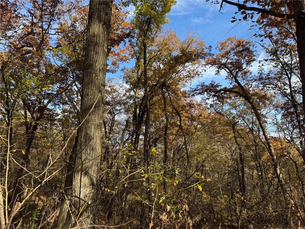 S3399 County Road P Buffalo City WI 54629 - Trempealeau 6816002 image37