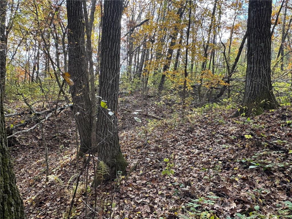 S3399 County Road P Buffalo City WI 54629 - Trempealeau 6816002 image38