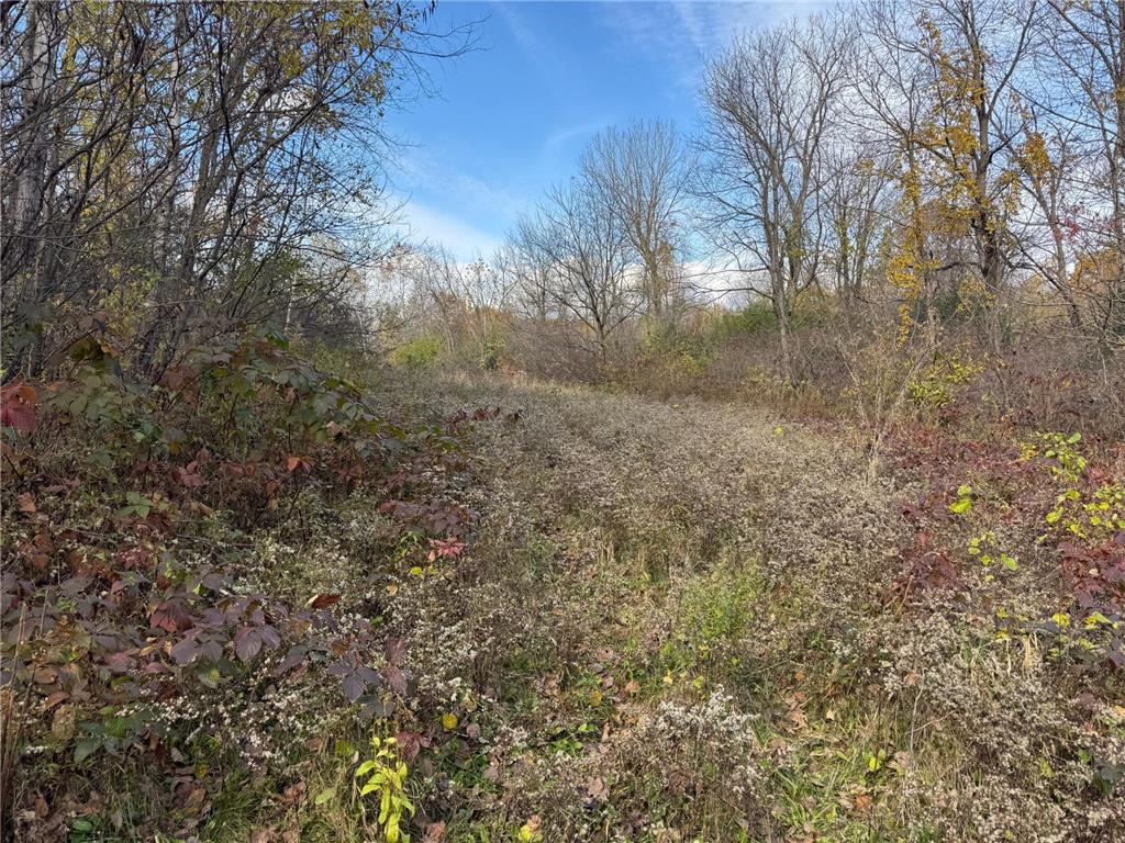 S3399 County Road P Buffalo City WI 54629 - Trempealeau 6816002 image39