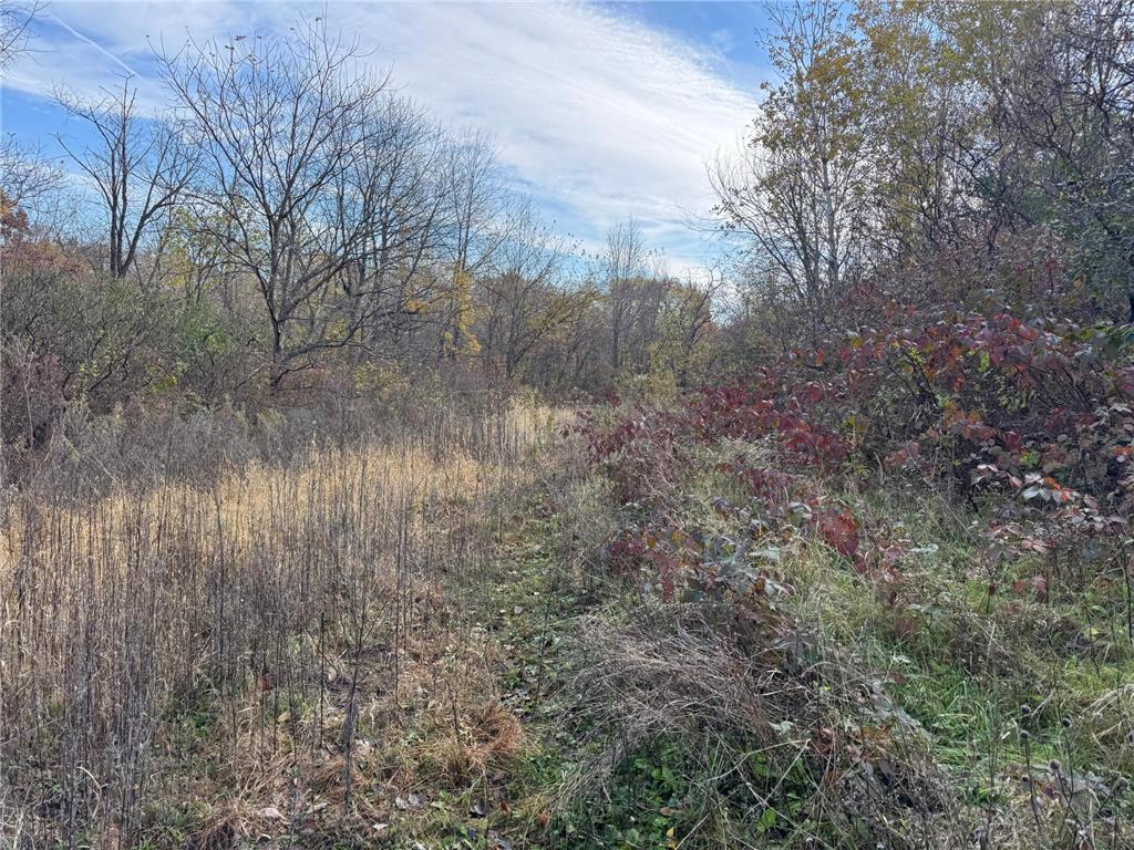 S3399 County Road P Buffalo City WI 54629 - Trempealeau 6816002 image40