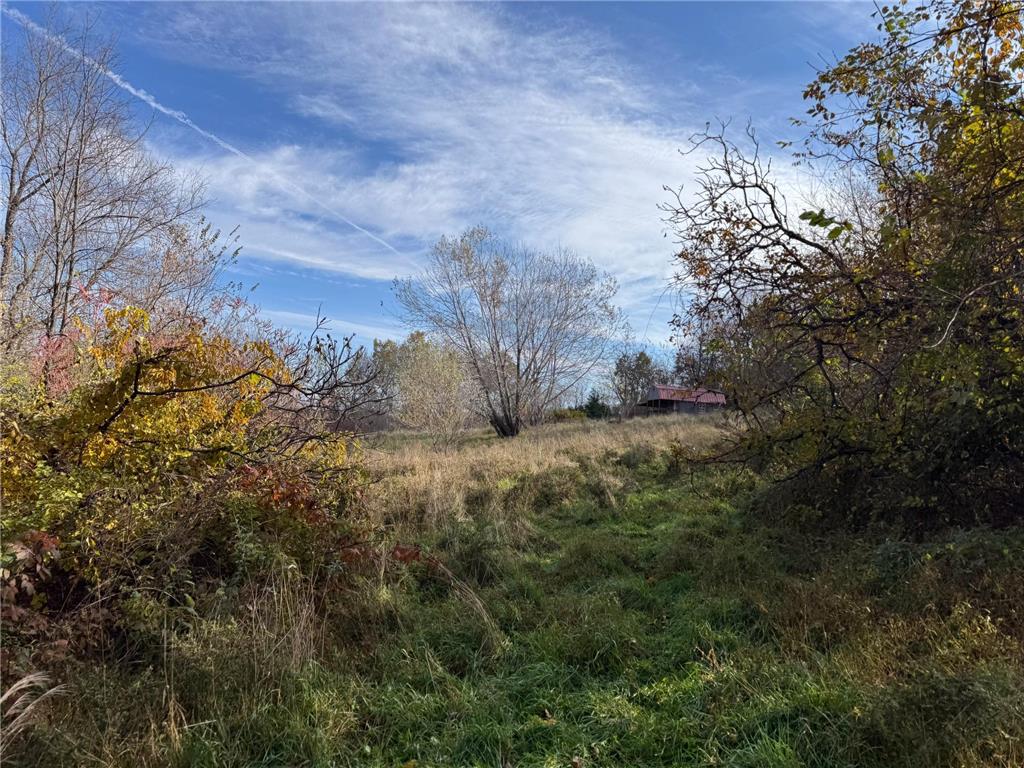 S3399 County Road P Buffalo City WI 54629 - Trempealeau 6816002 image41