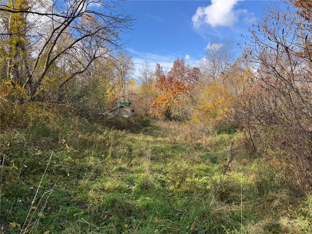 S3399 County Road P Buffalo City WI 54629 - Trempealeau 6816002 image42