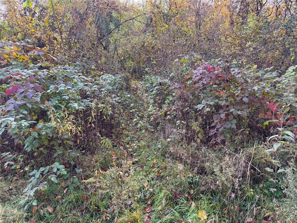 S3399 County Road P Buffalo City WI 54629 - Trempealeau 6816002 image43