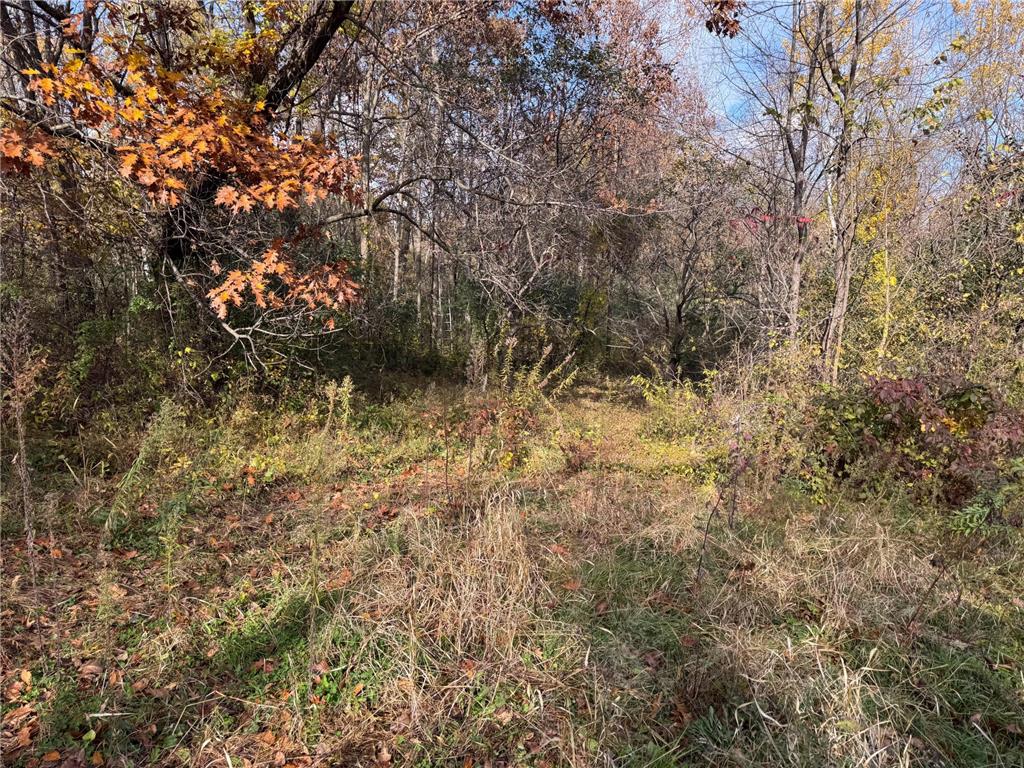 S3399 County Road P Buffalo City WI 54629 - Trempealeau 6816002 image44