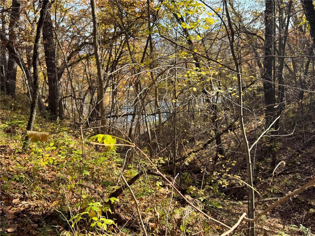 S3399 County Road P Buffalo City WI 54629 - Trempealeau 6816002 image45