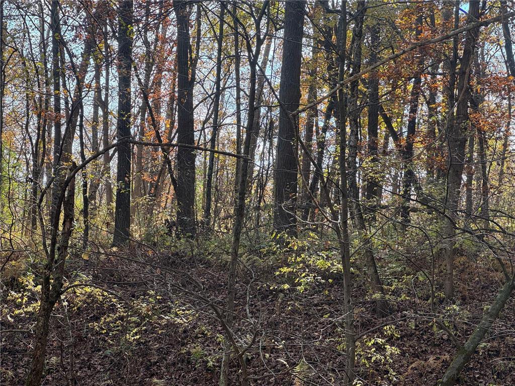 S3399 County Road P Buffalo City WI 54629 - Trempealeau 6816002 image46