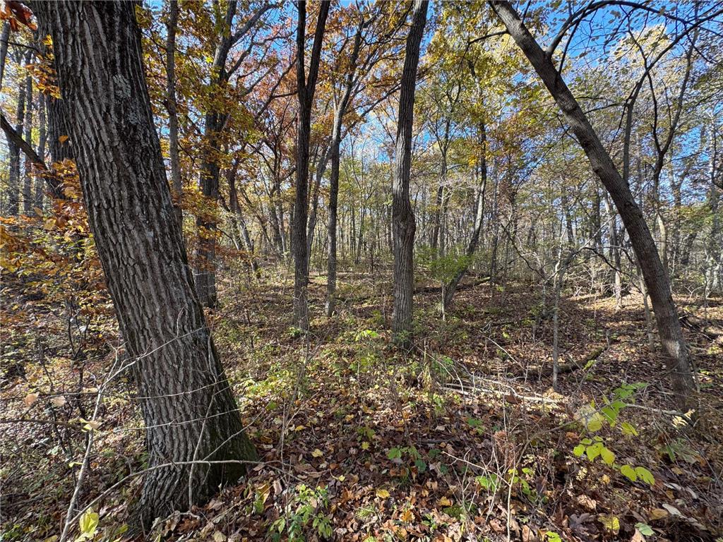 S3399 County Road P Buffalo City WI 54629 - Trempealeau 6816002 image47