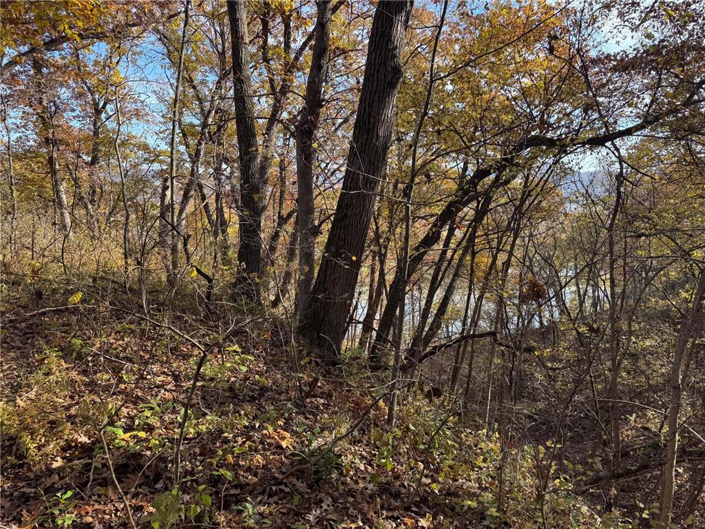 S3399 County Road P Buffalo City WI 54629 - Trempealeau 6816002 image48