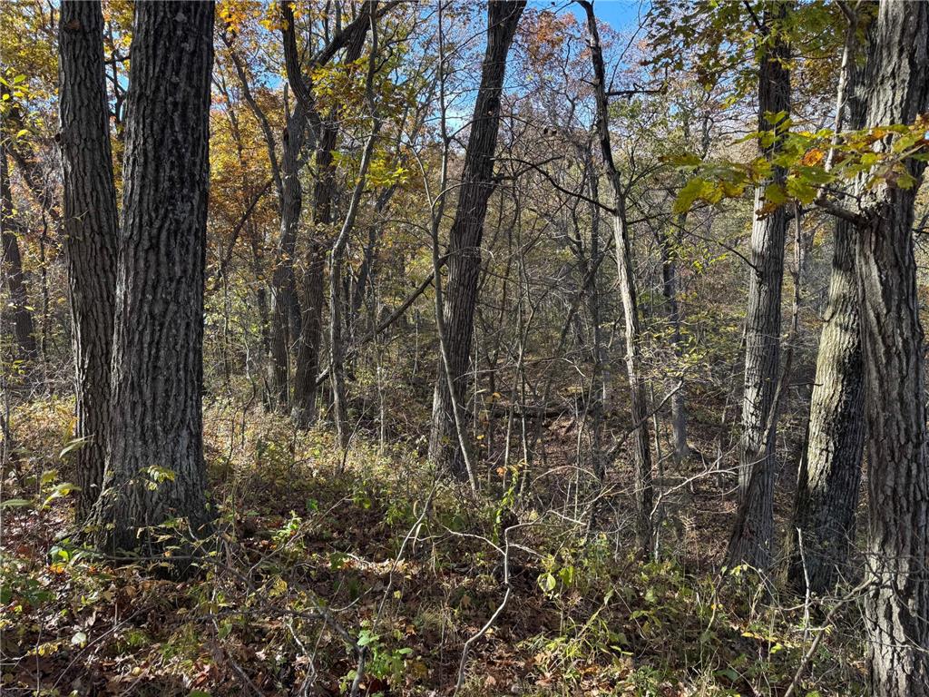 S3399 County Road P Buffalo City WI 54629 - Trempealeau 6816002 image49