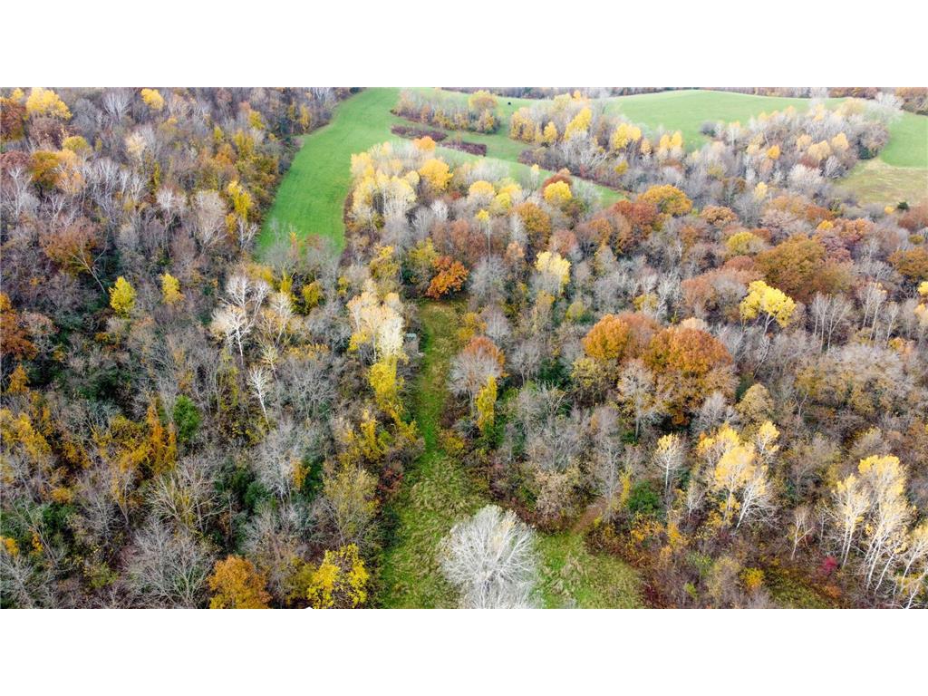 S3399 County Road P Buffalo City WI 54629 - Trempealeau 6816002 image5