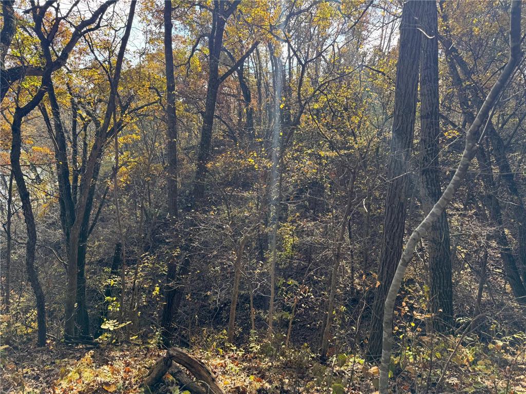 S3399 County Road P Buffalo City WI 54629 - Trempealeau 6816002 image50