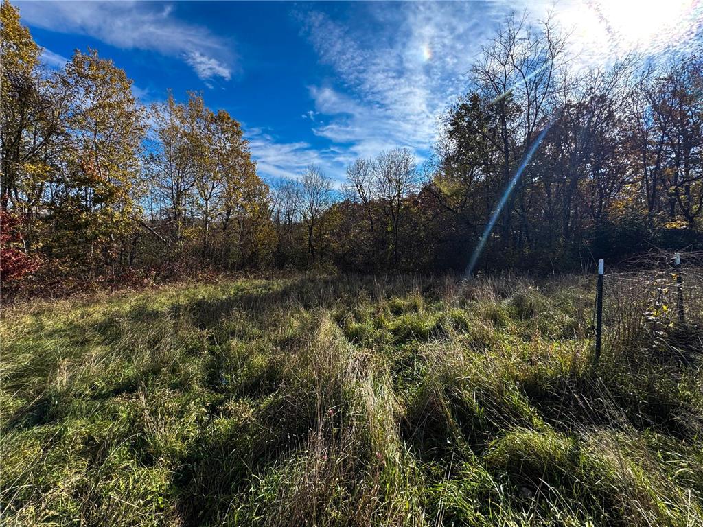 S3399 County Road P Buffalo City WI 54629 - Trempealeau 6816002 image52