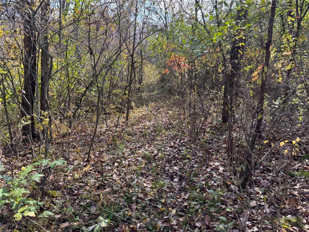 S3399 County Road P Buffalo City WI 54629 - Trempealeau 6816002 image53