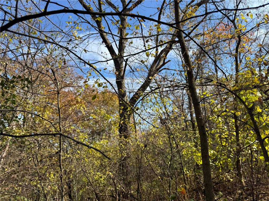 S3399 County Road P Buffalo City WI 54629 - Trempealeau 6816002 image54