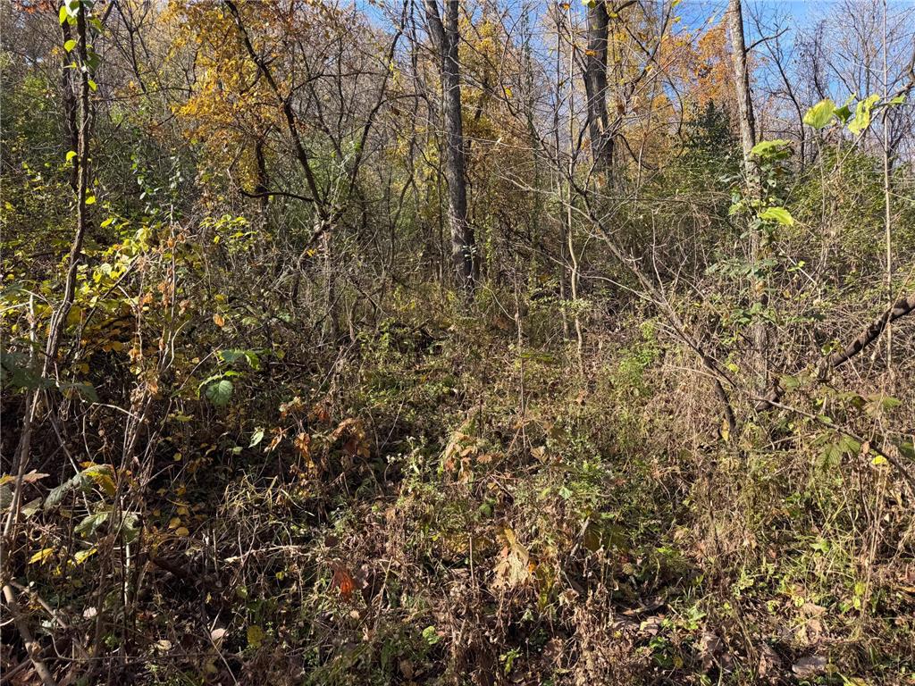 S3399 County Road P Buffalo City WI 54629 - Trempealeau 6816002 image55