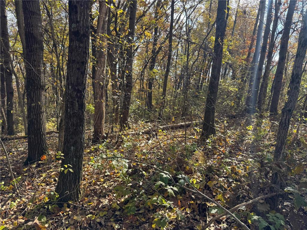 S3399 County Road P Buffalo City WI 54629 - Trempealeau 6816002 image56