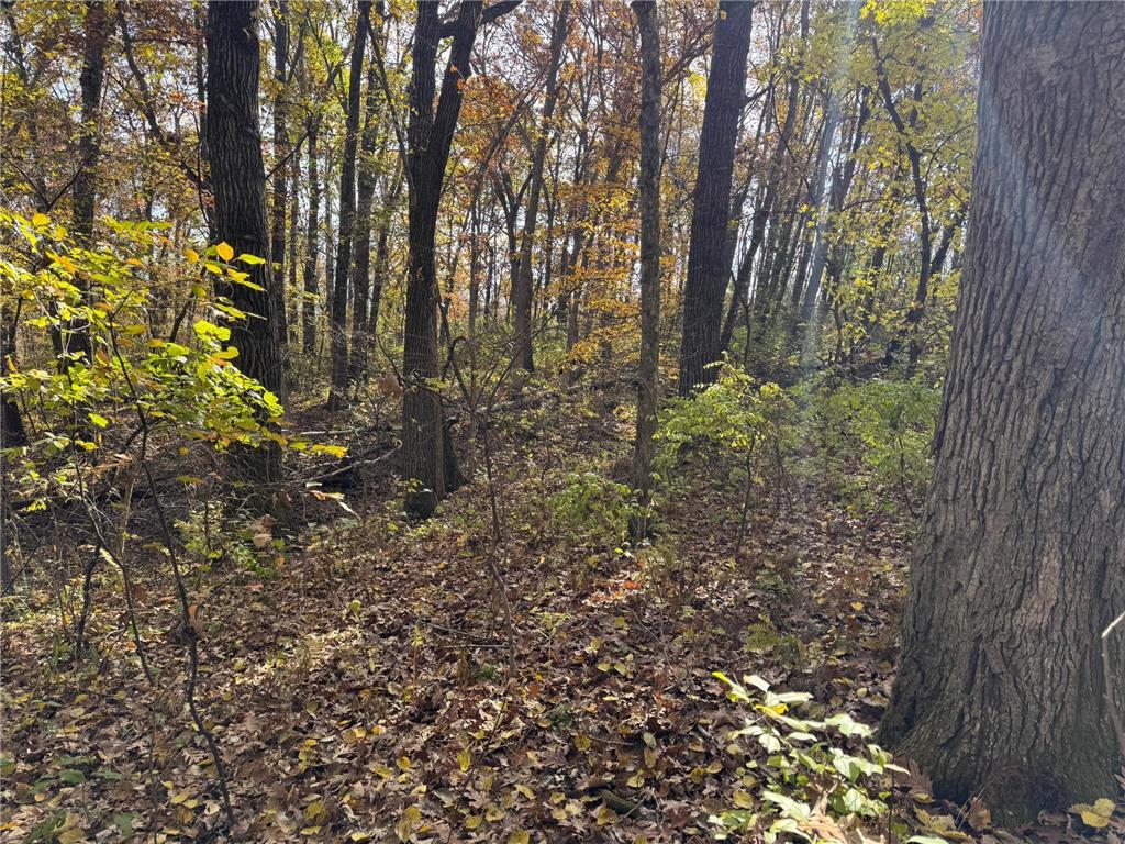 S3399 County Road P Buffalo City WI 54629 - Trempealeau 6816002 image57