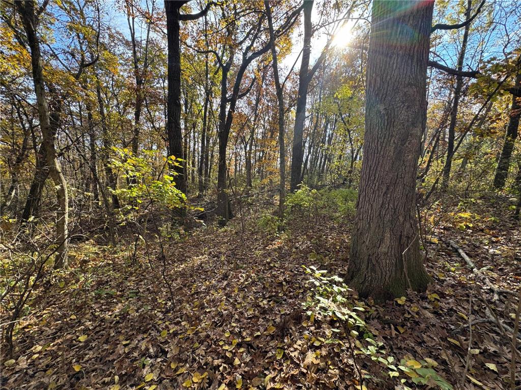 S3399 County Road P Buffalo City WI 54629 - Trempealeau 6816002 image58