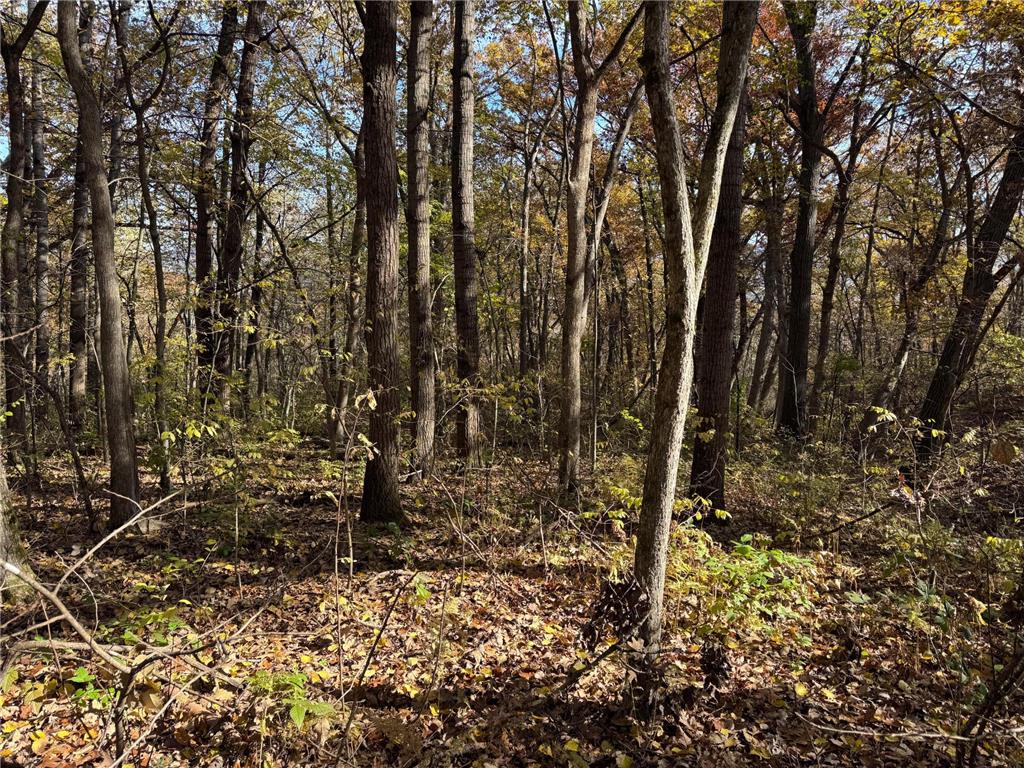 S3399 County Road P Buffalo City WI 54629 - Trempealeau 6816002 image59