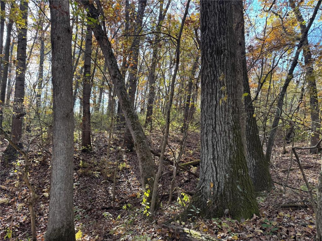 S3399 County Road P Buffalo City WI 54629 - Trempealeau 6816002 image60