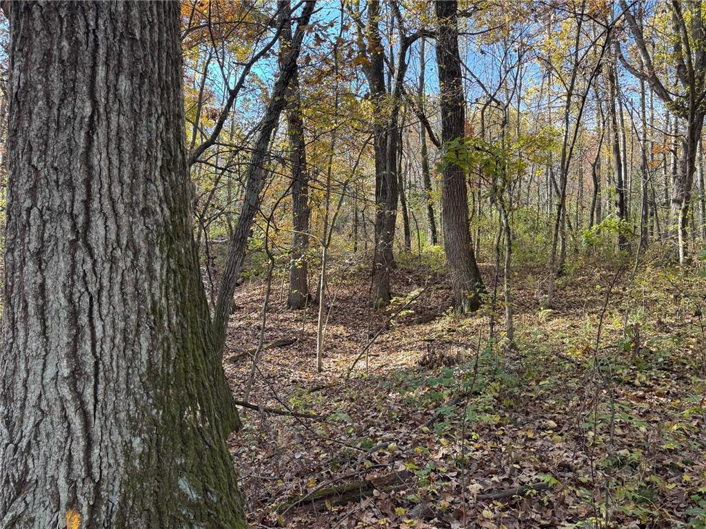 S3399 County Road P Buffalo City WI 54629 - Trempealeau 6816002 image61