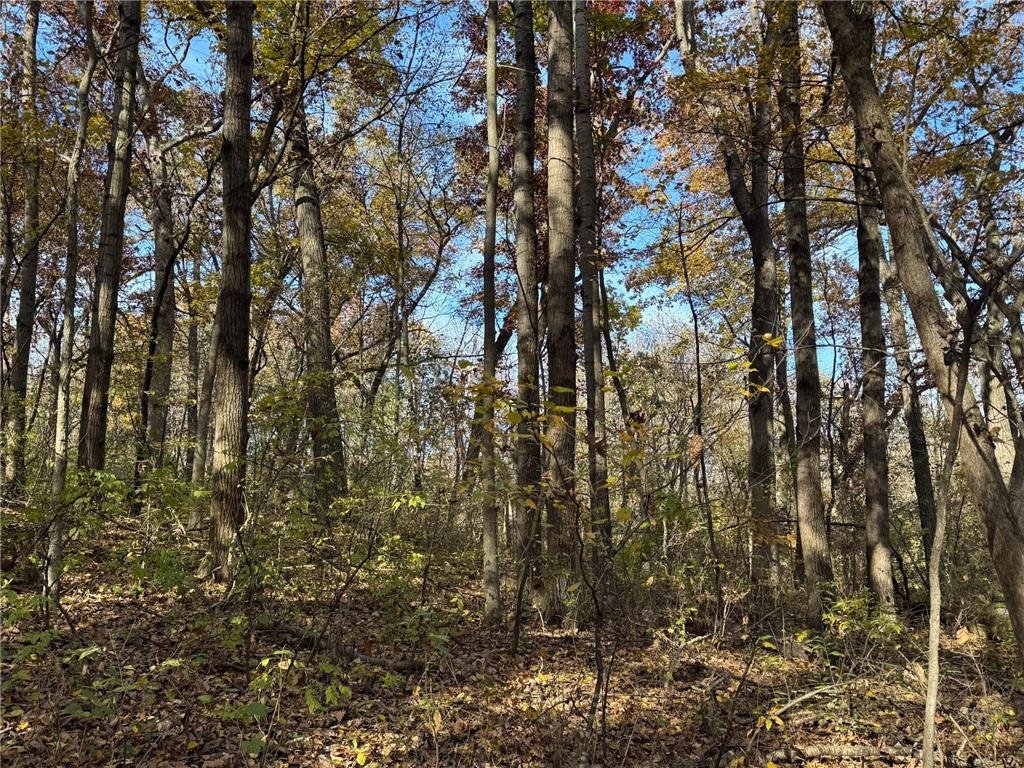 S3399 County Road P Buffalo City WI 54629 - Trempealeau 6816002 image62