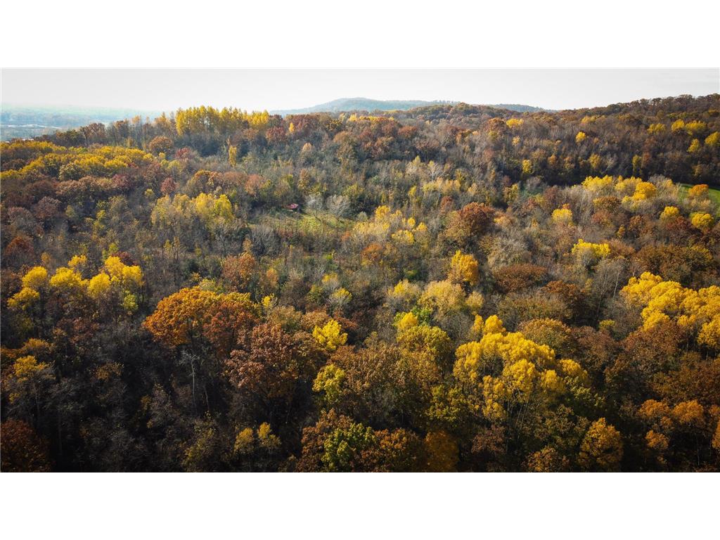 S3399 County Road P Buffalo City WI 54629 - Trempealeau 6816002 image63