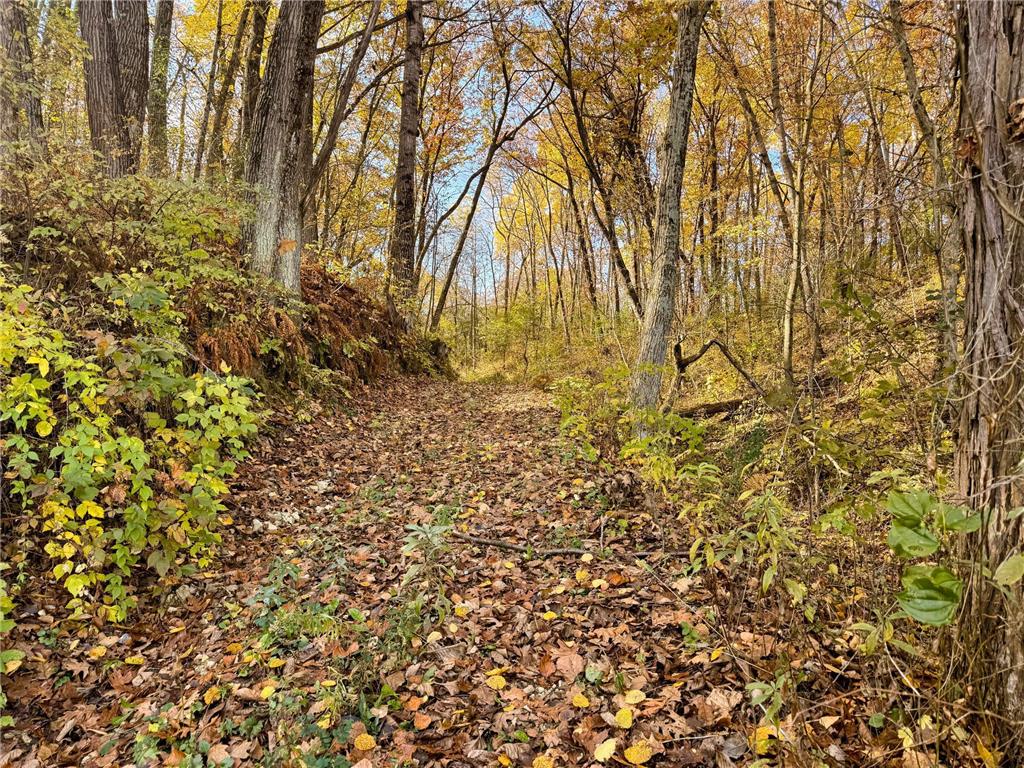 S3399 County Road P Buffalo City WI 54629 - Trempealeau 6816002 image64