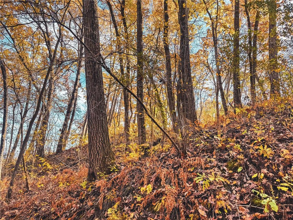 S3399 County Road P Buffalo City WI 54629 - Trempealeau 6816002 image66