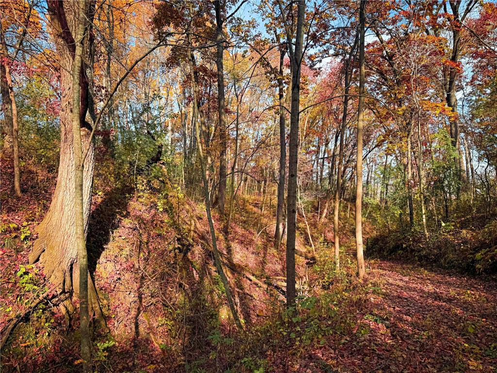 S3399 County Road P Buffalo City WI 54629 - Trempealeau 6816002 image67