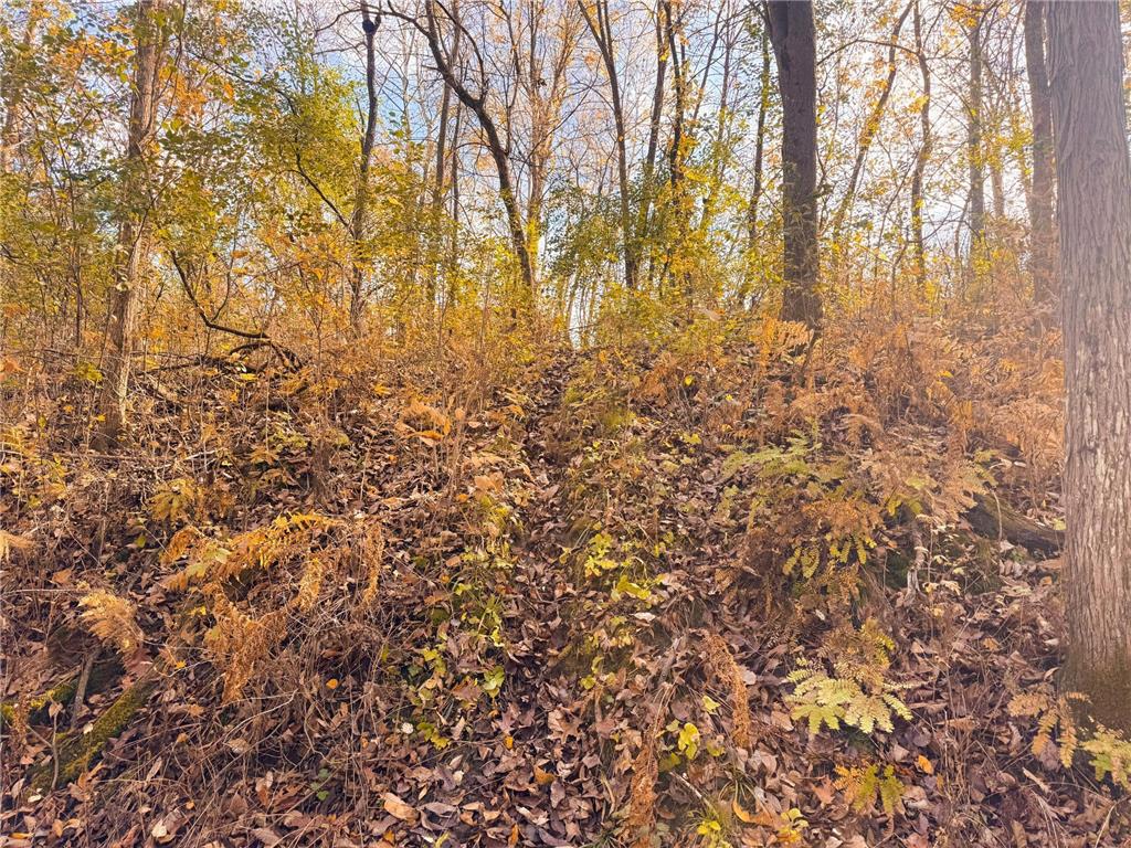 S3399 County Road P Buffalo City WI 54629 - Trempealeau 6816002 image68