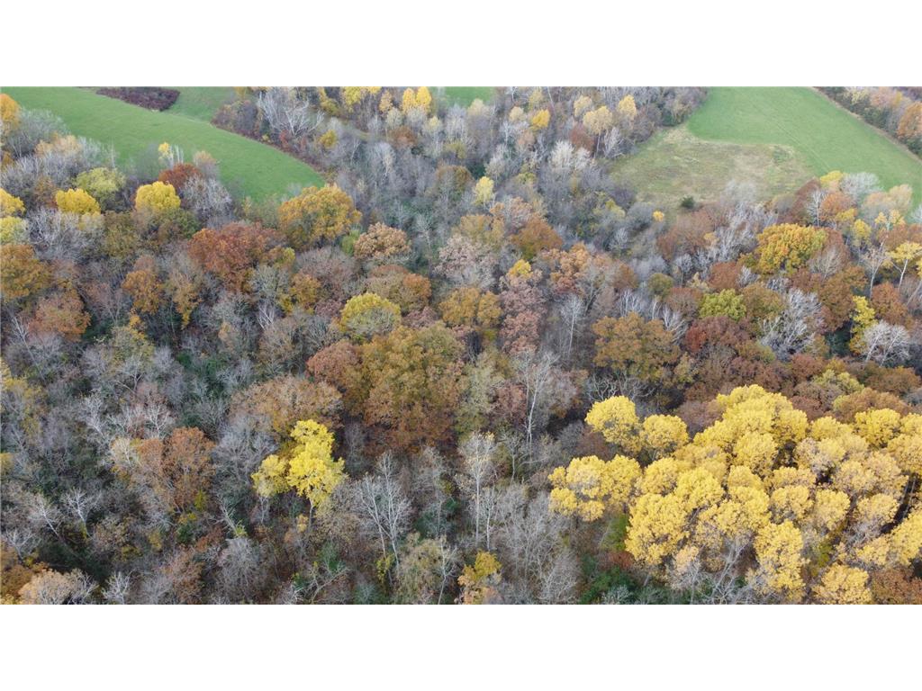 S3399 County Road P Buffalo City WI 54629 - Trempealeau 6816002 image9