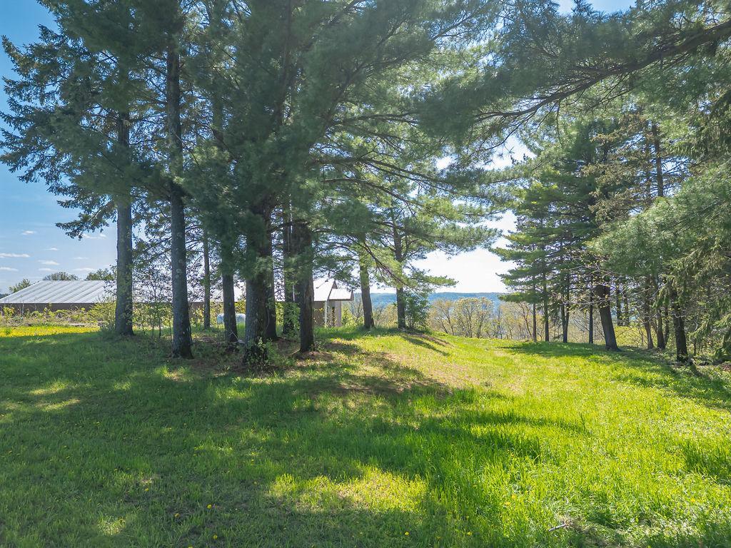 S3565 Rooster Ridge Lane Buffalo City WI 54629 7069097 image70