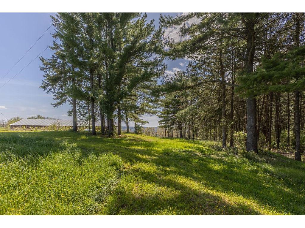 S3565 Rooster Ridge Lane Buffalo City WI 54629 7069097 image72