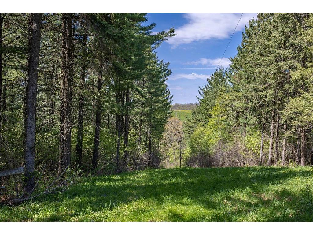 S3565 Rooster Ridge Lane Buffalo City WI 54629 7069097 image74
