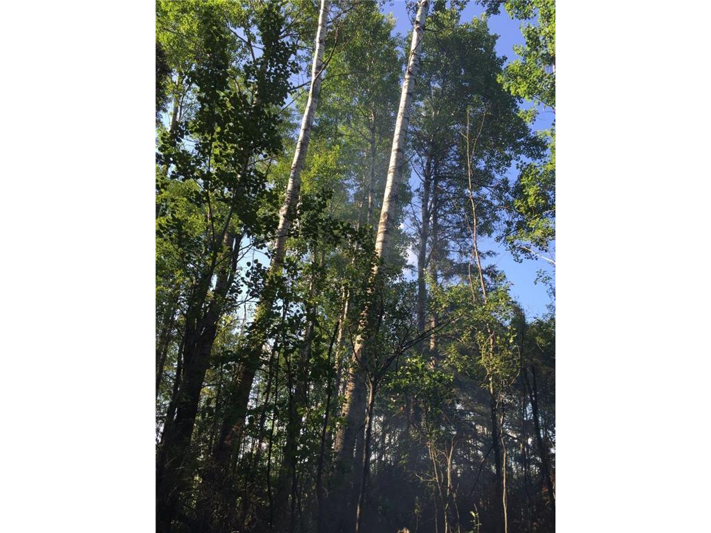 Sec: 2 TWP: 61.0 RG: 19 Lot: BLK: AC Alango Twp MN 55703 6711573 image10