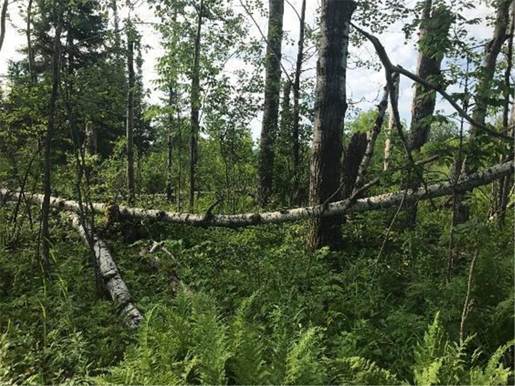 Sec: 2 TWP: 61.0 RG: 19 Lot: BLK: AC Alango Twp MN 55703 6711573 image11