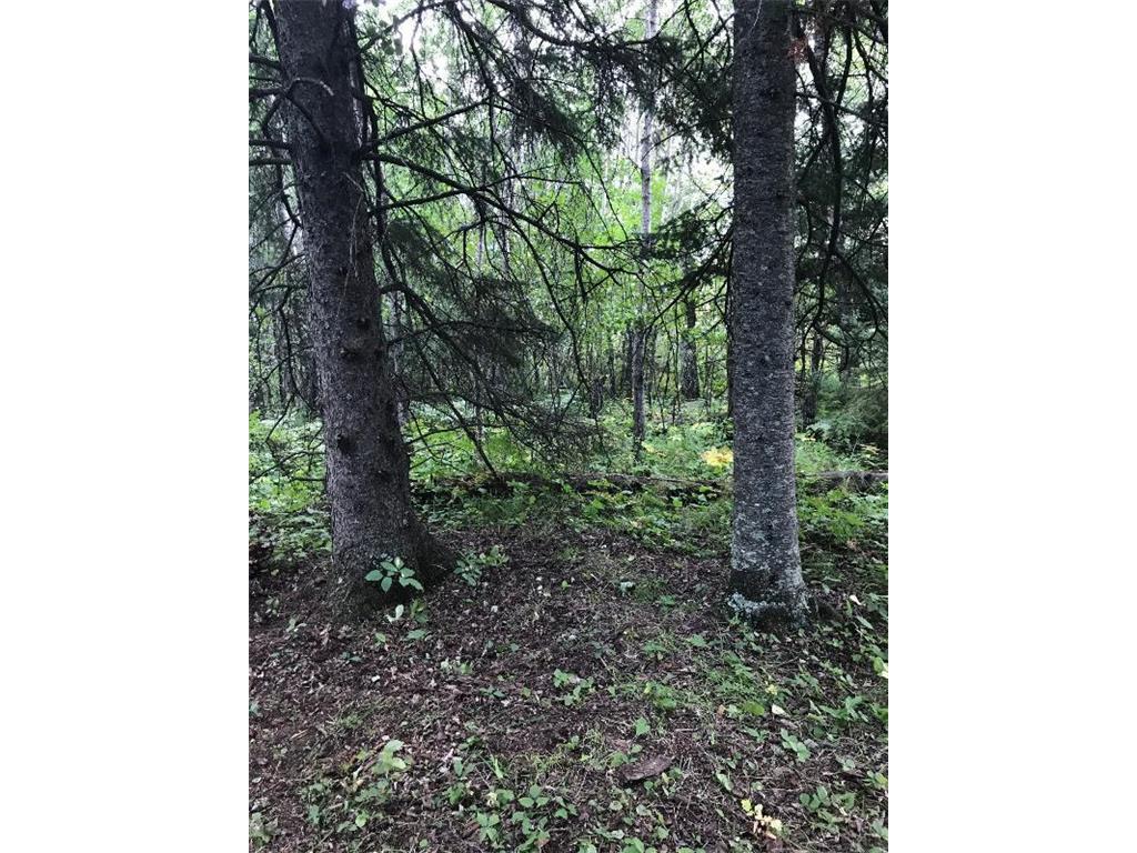 Sec: 2 TWP: 61.0 RG: 19 Lot: BLK: AC Alango Twp MN 55703 6711573 image12